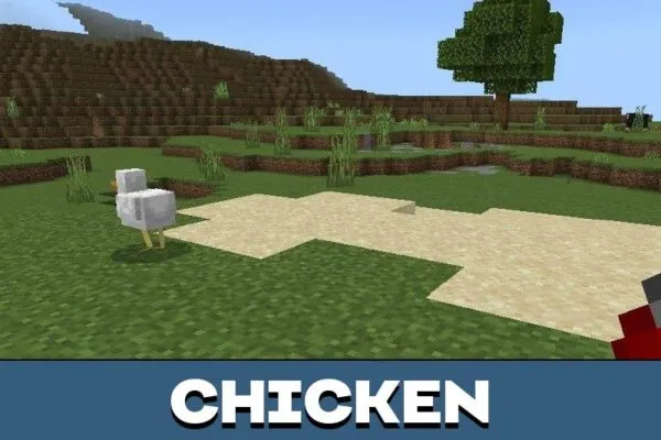 Chicken from Текстур пак Fresh Animations для Minecraft PE