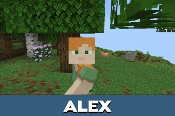 Alex from Мод Sodium для Minecraft PE