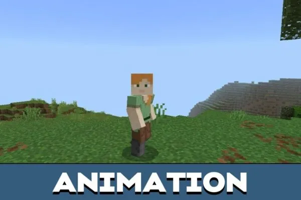Animation from Мод Sodium для Minecraft PE