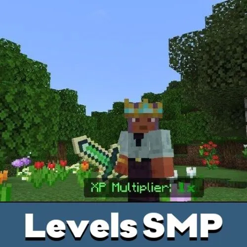 Levels SMP Mod for Minecraft PE