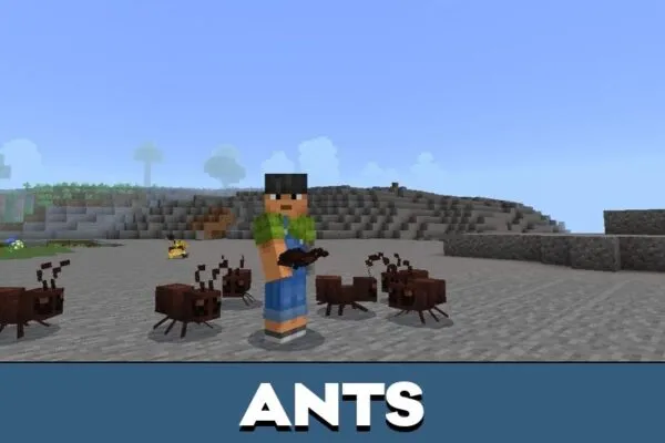 Ants from Мод Naturalist для Майнкрафт PE