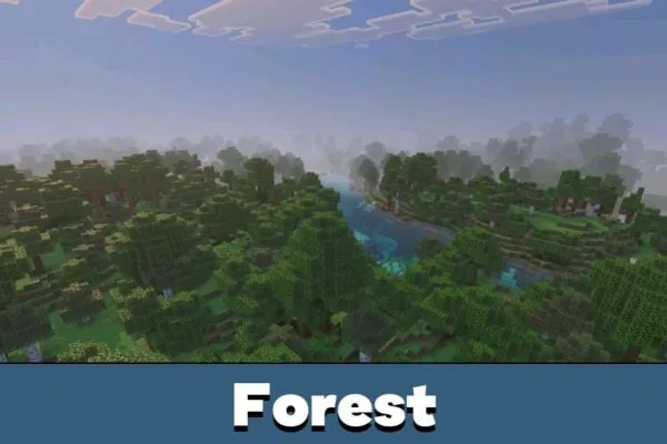 Forest from Мод Sodium для Minecraft PE