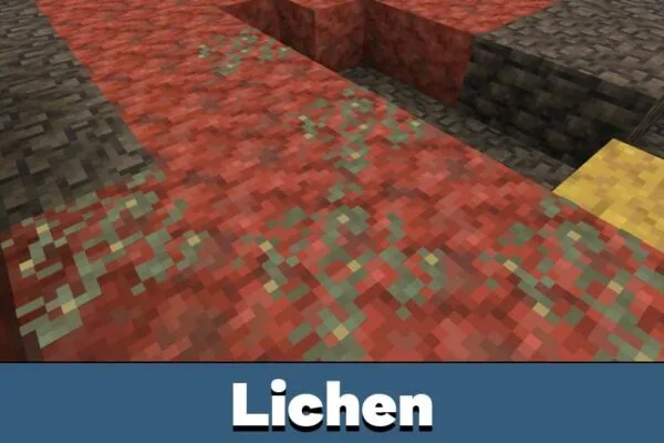 Lichen from Minecraft 26