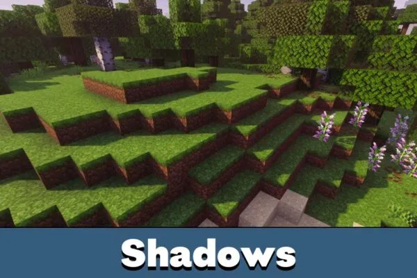 Shadows from Шейдер Prizma для Minecraft PE