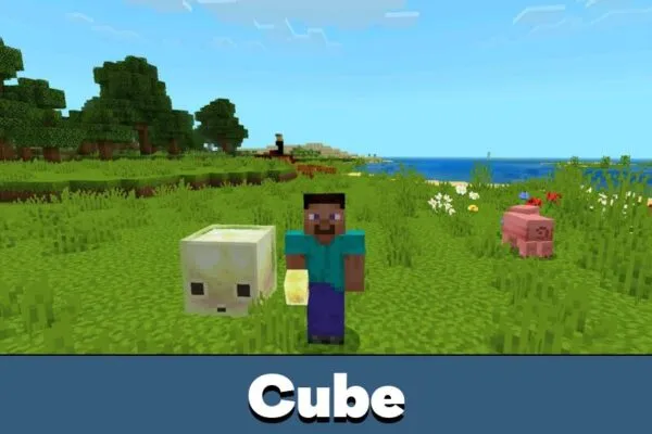 Cube from Action and Stuff 1.11 Texture Pack for Minecraft PE