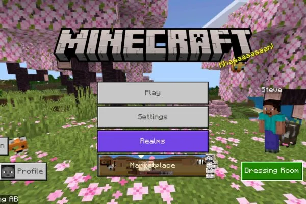 Download Minecraft 26.20