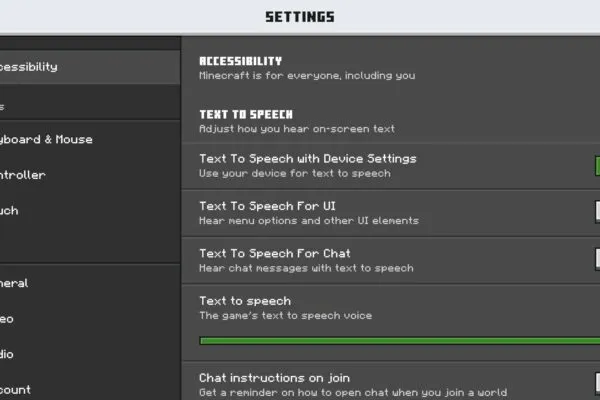 Settings from Minecraft 26.31