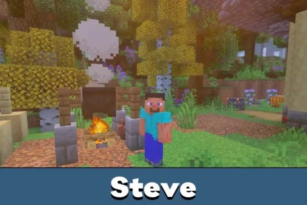 Steve from Мод RLCraft для Майнкрафт PE