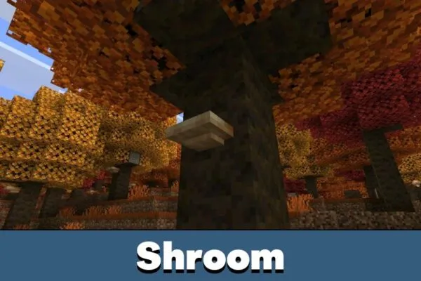 Shroom from Minecraft 26.40