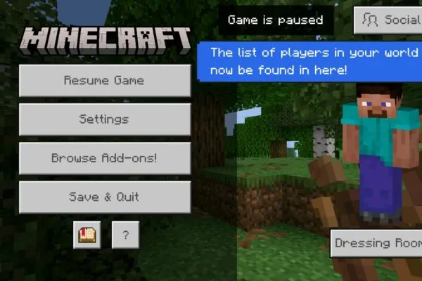 Minecraft PE 26.50 apk settings